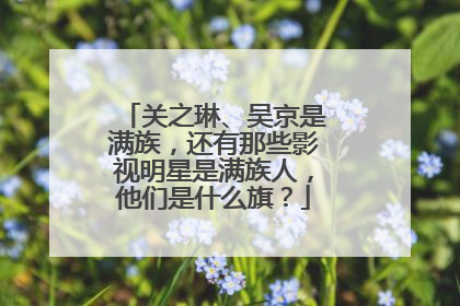 关之琳、吴京是满族，还有那些影视明星是满族人，他们是什么旗？