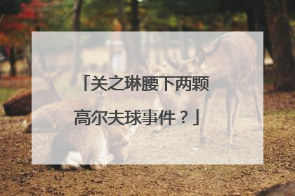 关之琳腰下两颗高尔夫球事件？