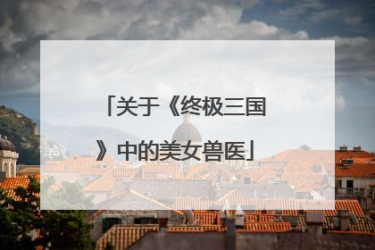 关于《终极三国》中的美女兽医