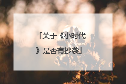 关于《小时代》是否有抄袭