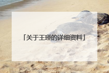 关于王瑾的详细资料
