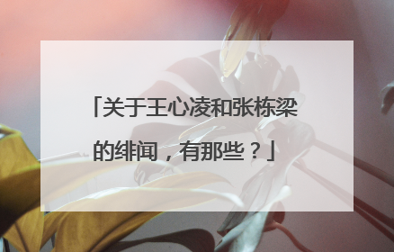 关于王心凌和张栋梁的绯闻，有那些？