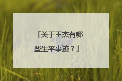 关于王杰有哪些生平事迹？