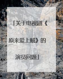 关于电视剧《原来爱上贼》的演员问题