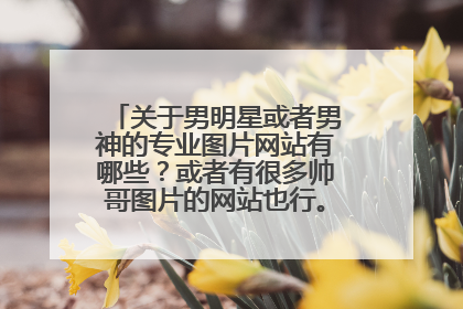 关于男明星或者男神的专业图片网站有哪些?或者有很多帅哥图片的网站也行。。。求提供。。。