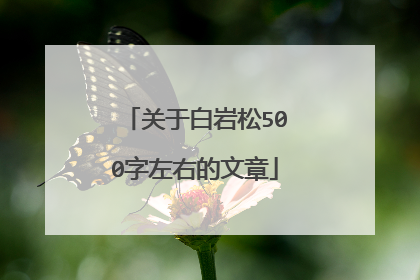 关于白岩松500字左右的文章