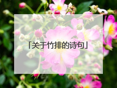 关于竹排的诗句