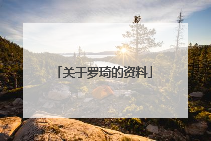 关于罗琦的资料