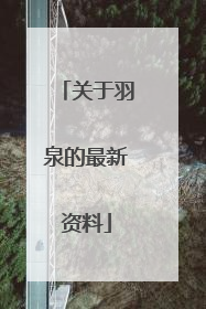 关于羽泉的最新资料