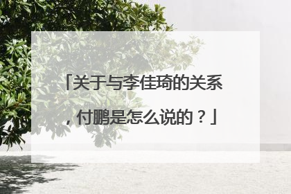 关于与李佳琦的关系,付鹏是怎么说的?