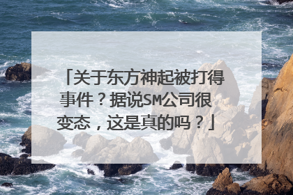 关于东方神起被打得事件?据说SM公司很变态,这是真的吗?