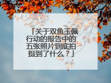 关于双鱼玉佩行动的报告中的五张照片到底拍摄到了什么？