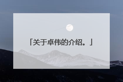 关于卓伟的介绍。