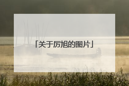 关于厉旭的图片