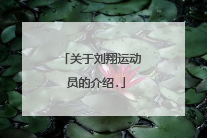 关于刘翔运动员的介绍.