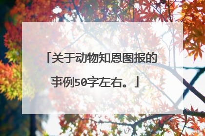关于动物知恩图报的事例50字左右。