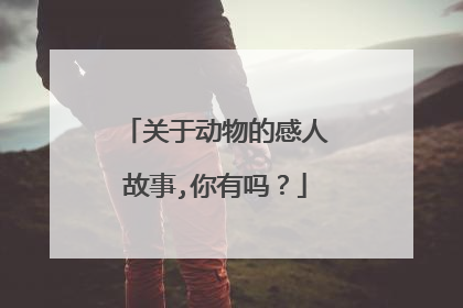关于动物的感人故事,你有吗？