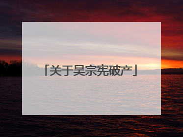 关于吴宗宪破产