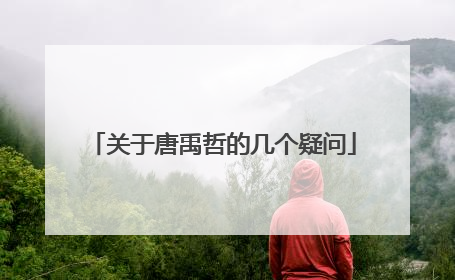 关于唐禹哲的几个疑问