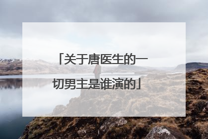 关于唐医生的一切男主是谁演的
