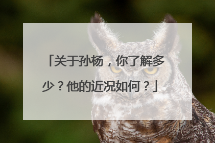关于孙杨,你了解多少?他的近况如何?
