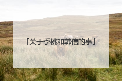 关于季桃和韩信的事