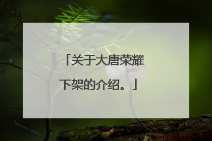 关于大唐荣耀下架的介绍。