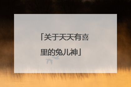 关于天天有喜里的兔儿神