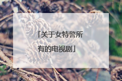 关于女特警所有的电视剧