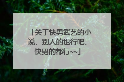 关于快男武艺的小说、别人的也行吧、快男的都行~~