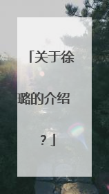 关于徐璐的介绍？