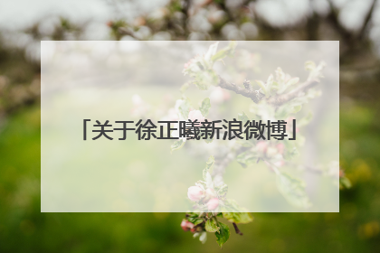 关于徐正曦新浪微博