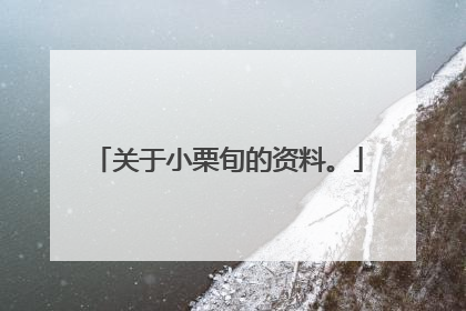 关于小栗旬的资料。