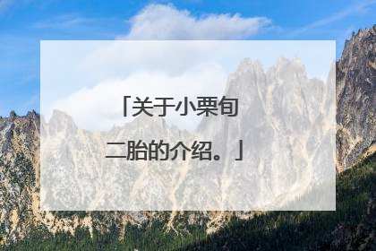 关于小栗旬 二胎的介绍。