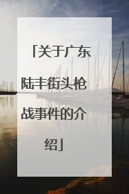 关于广东陆丰街头枪战事件的介绍