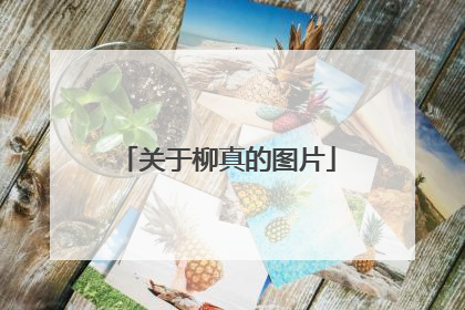 关于柳真的图片