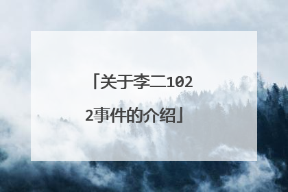 关于李二1022事件的介绍