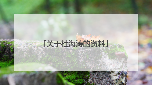 关于杜海涛的资料