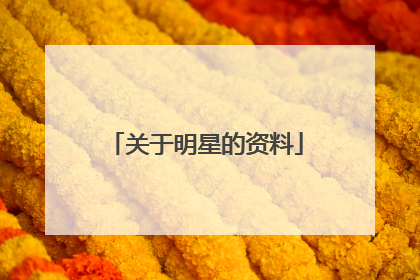 关于明星的资料