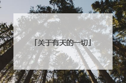 关于有天的一切