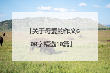 关于母爱的作文600字精选10篇