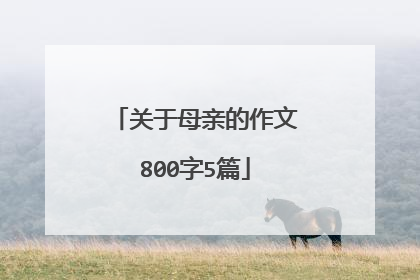 关于母亲的作文800字5篇