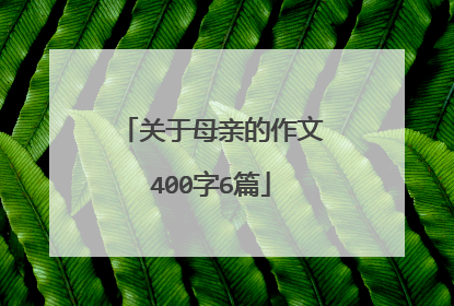 关于母亲的作文400字6篇
