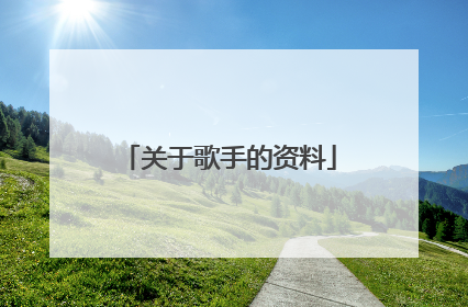 关于歌手的资料