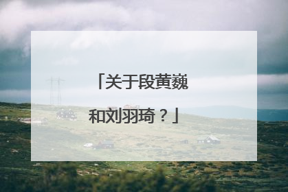 关于段黄巍和刘羽琦？