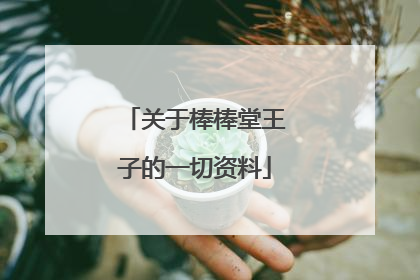 关于棒棒堂王子的一切资料