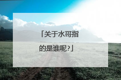 关于水哥指的是谁呢?