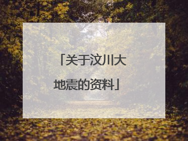 关于汶川大地震的资料