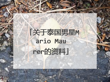 关于泰国男星Mario Maurer的资料