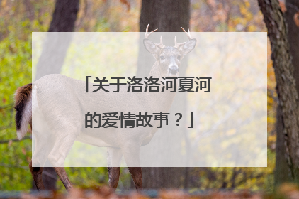 关于洛洛河夏河的爱情故事？